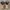NIKE ACG Mandara Hikers Boots photo 4