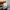 Lee Casual Formal pants Pria multicolor photo 6