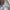 Indie Casual Bomber jacket Pria cream photo 7