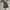 Y2K M4JAH FL4VAH CARPENTER JEANS photo 9