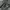 Y2K M4JAH FL4VAH CARPENTER JEANS photo 10