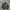 Uniqlo jaket vintage double zipper  photo 1