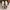 ADIDAS ULTRABOOST 20W Running photo 3