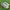 Vans Streetwear Avant Garde Sneakers Wanita white gray photo 4