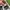 Vans Streetwear Avant Garde Sneakers Wanita white gray photo 6