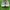Vans Streetwear Avant Garde Sneakers Wanita white gray photo 5