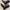 Justin Western / Cowboy Black Boots photo 3