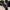 Justin Western / Cowboy Black Boots photo 5