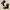Justin Western / Cowboy Black Boots photo 1