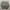 CREWNECK GRAMICCI SMALL LOGO photo 1