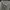 Guess Bomber photo 4