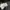 Guess Bomber photo 5