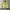 Polham Bomber photo 1