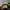 Bomber jacket boxy Harrington Rodeo crowns  photo 7