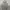 HOODIE THISISNEVERTHAT ARCH LOGO photo 1
