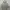 HOODIE THISISNEVERTHAT ARCH LOGO