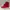 Dr. Martens Page Red Canvas White Boots Size 36 photo 1