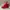 Dr. Martens Page Red Canvas White Boots Size 36 photo 2