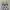 Y2K Grunge Cami top Wanita white black photo 6