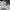 Y2K Grunge Cami top Wanita white black photo 7