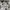 Y2K Grunge Cami top Wanita white black photo 5