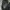 Tankus Japanese Bono Hooded Vest Vkei Grunge Ifsixwasnine photo 7
