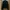 Comme des Garcons Homme Plus Garment Treated Layered Zip Jac photo 1