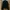 Comme Des Garcons Homme Plus Garment Treated Layered Zip Jac