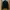 Comme des Garcons Homme Plus Garment Treated Layered Zip Jac photo 2