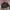 HERINGTON JACKET CASUAL photo 5