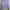 SWEATSHIRT SERUT