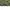 Niko And Outer V Neck Colarles Military  photo 8