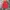Parka Nearby Style Vintage Field Jacket photo 2