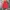 Parka Nearby Style Vintage Field Jacket