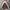 Parka Nearby Style Vintage Field Jacket photo 5