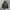 Nano Universe Puffer Jacket