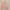 Cardigan Uniqlo UV Soft Pink Baby Pink Oneck Basic