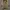 Basic Premium  photo 1