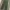 Celana Wide Baloon Pants GU Green