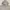 2000s Vtg Russell Athletic Heather Grey Blank Zipper Boxy Ho photo 2