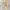 2000s Vtg Russell Athletic Light Brown Faded Blank Boxy Hood photo 2