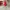Y2k SOMA Watch Analog Red, like Nike Triax photo 5