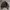 Napapijri motorcycle jacket vintage rare photo 5