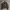 Napapijri motorcycle jacket vintage rare photo 2