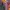 Lolita Summer dress Wanita multicolor photo 4