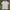 Tshirt Alexander Wang White