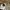 Tshirt MNWKA Mishka Eyes White photo 4