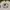 Tshirt MNWKA Mishka Eyes White photo 1