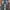 Baggy pants jeans  By BLUE FORCE photo 5