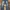 Baggy pants jeans  By BLUE FORCE photo 3